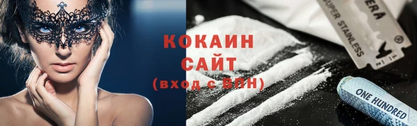 хмурый Новозыбков