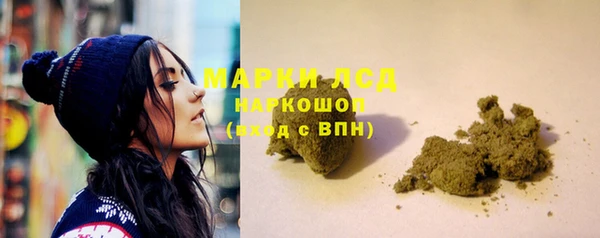 хмурый Новозыбков