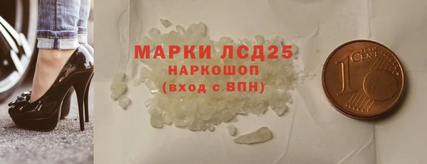 хмурый Новозыбков