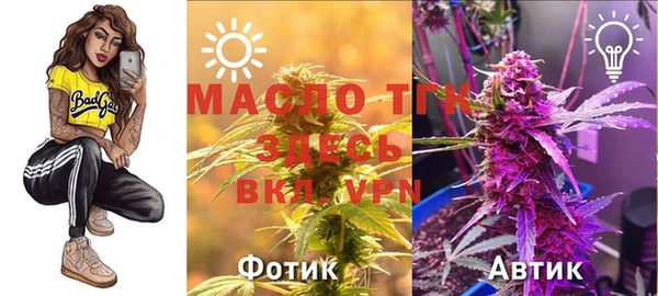 дживик Новодвинск