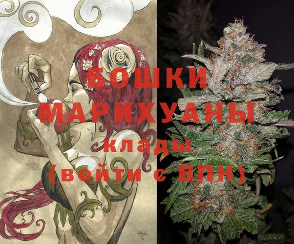 хмурый Новозыбков