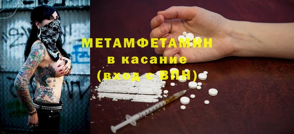 хмурый Кедровый