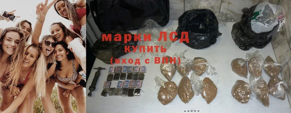 хмурый Новозыбков