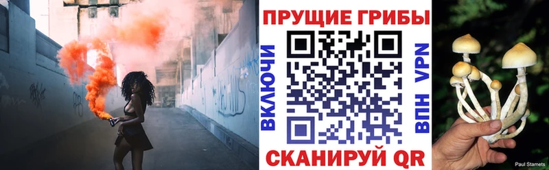 Галлюциногенные грибы MAGIC MUSHROOMS  цены наркотик  Ивдель 